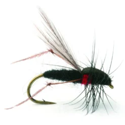 Russer Flua Tørr - 12