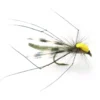 Parachute Longlegs - 10