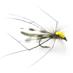 Parachute Longlegs - 10
