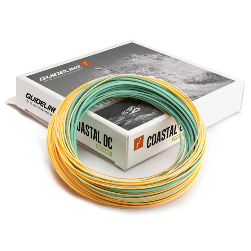 Guideline Coastal Evolve WF 1 Guideline Coastal Evolve WF