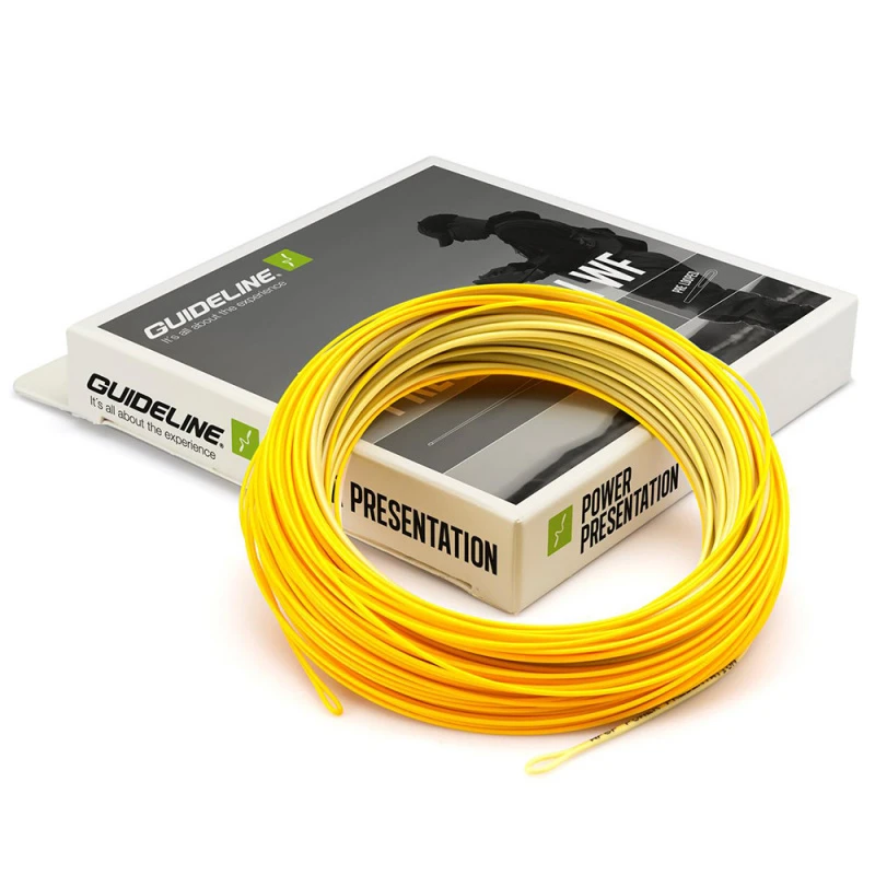 Guideline Power Presentation WF 1 Guideline Power Presentation WF