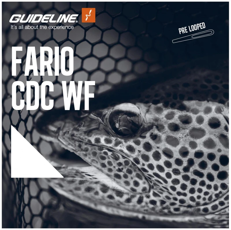 Guideline Fario CDC WF 2 Guideline Fario CDC WF - Afbeelding 2