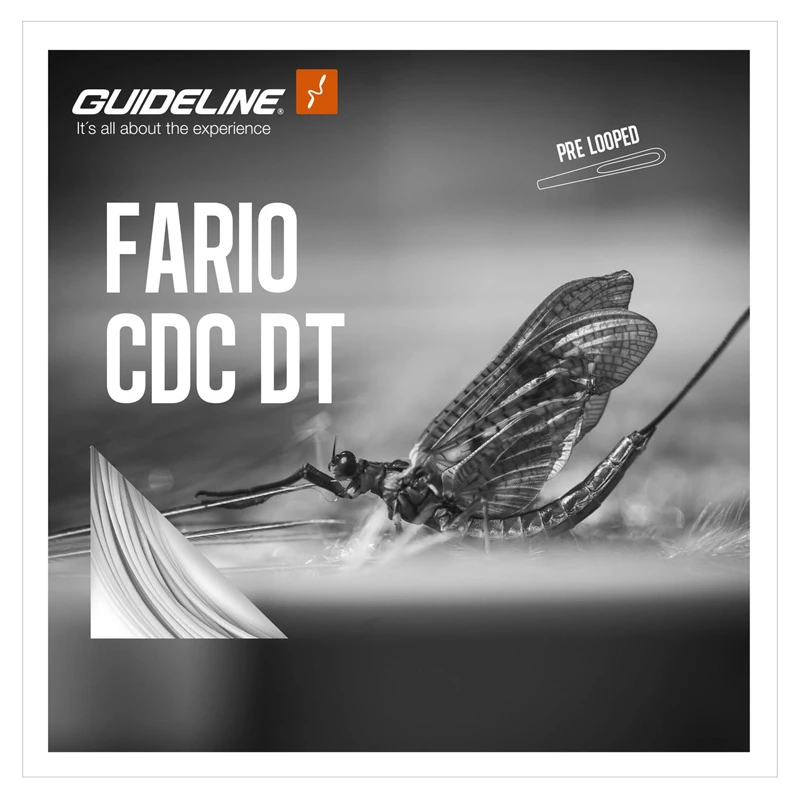 Guideline Fario CDC DT 1 Guideline Fario CDC DT