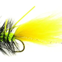 Dog Nobbler Tiger Kamasan B170 #4