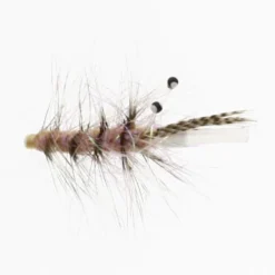 Alive Shrimp Tube Plast