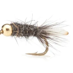 Peeping Caddis (BH) Grey TMC 100 #12
