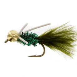 Big Eyes With Legs Olive/Green