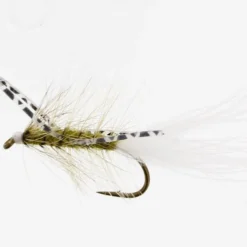 X-Fly Olive Kamasan B170 #6