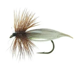 E-12 Olive Daiichi 1180 #12