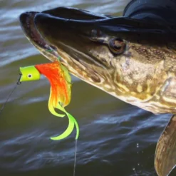 Howitzer Popper Heads -Hengel Plezier Verkoopwinkel SS HP WLr 3