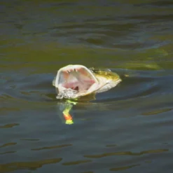 Howitzer Popper Heads -Hengel Plezier Verkoopwinkel SS HP WLr 4