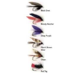 Wet Fly 1 6-pak